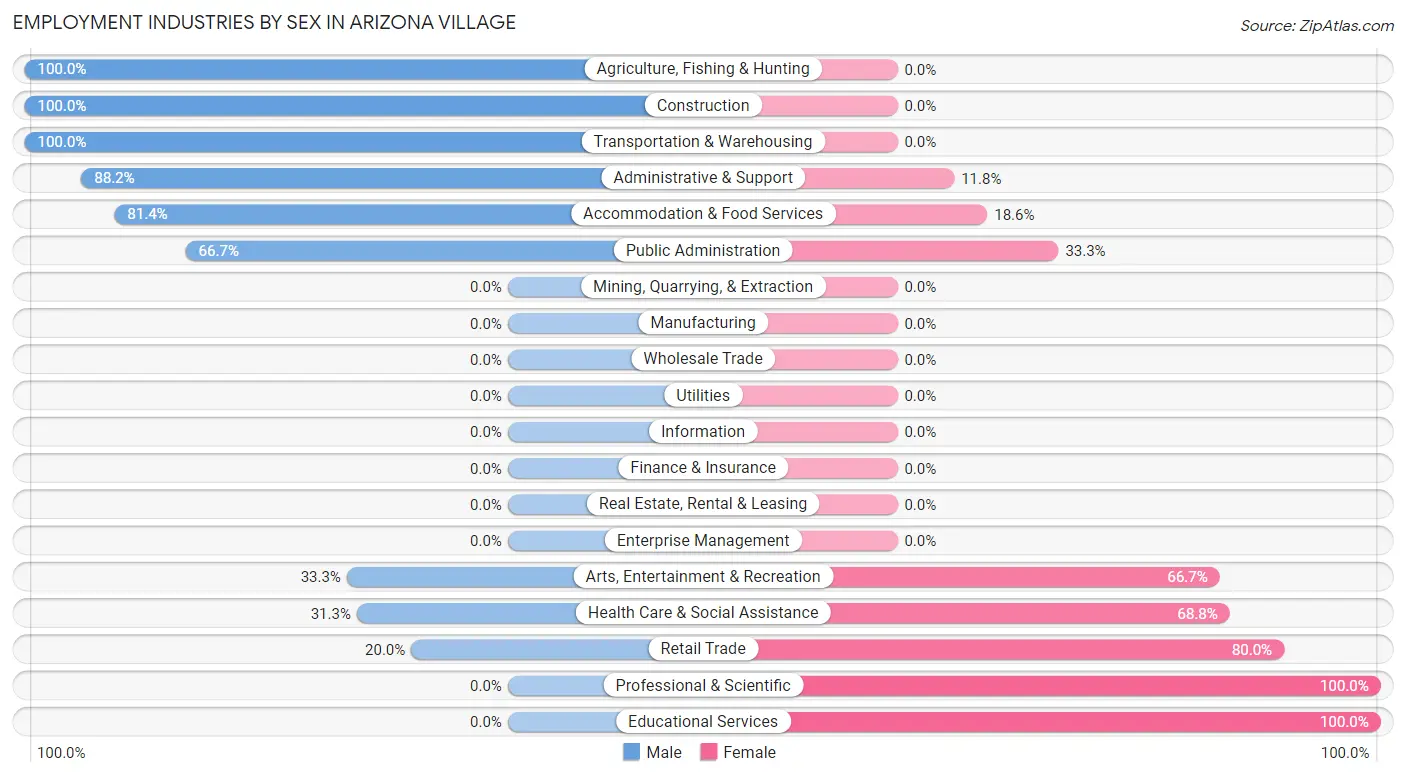 Employment Industries by Sex in Arizona Village