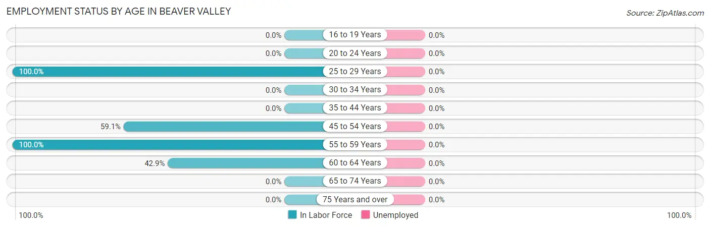 Employment Status by Age in Beaver Valley