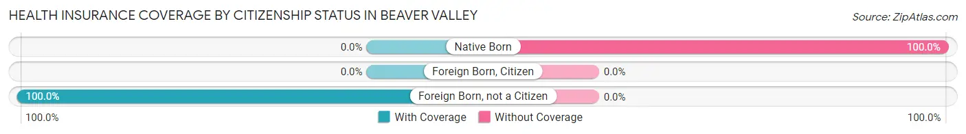 Health Insurance Coverage by Citizenship Status in Beaver Valley