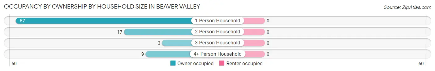 Occupancy by Ownership by Household Size in Beaver Valley