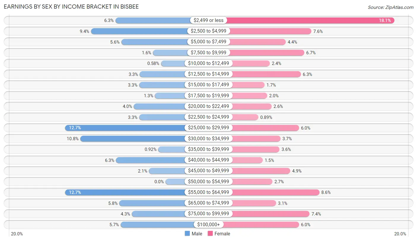 Earnings by Sex by Income Bracket in Bisbee