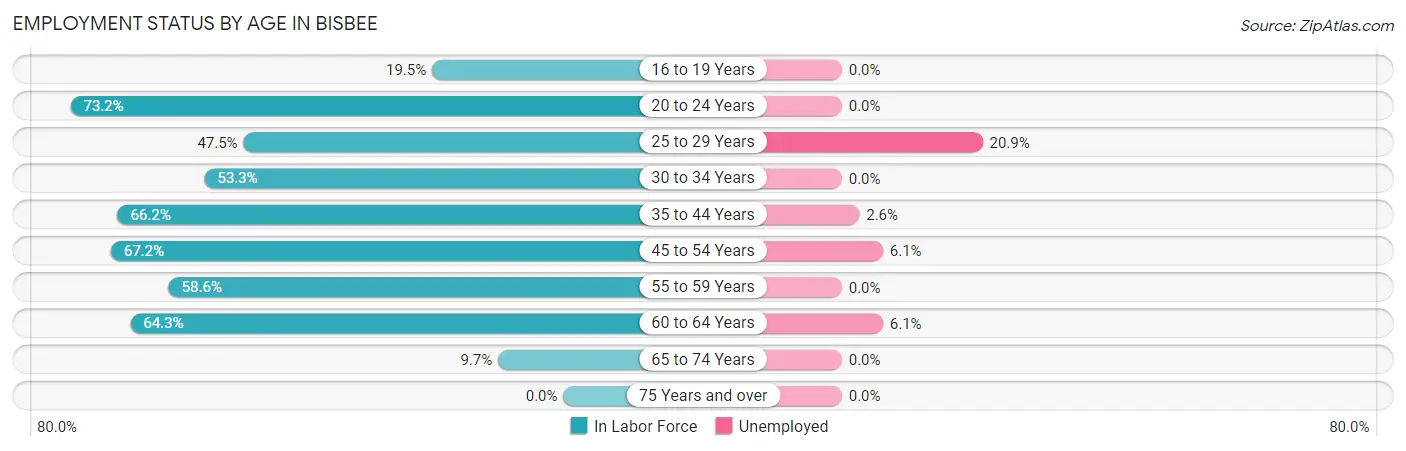 Employment Status by Age in Bisbee