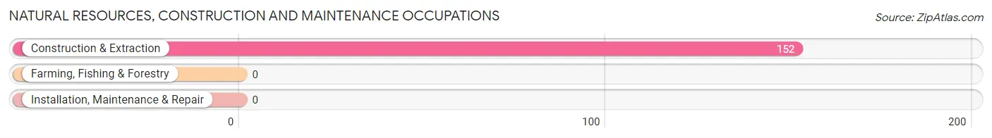 Natural Resources, Construction and Maintenance Occupations in Bisbee