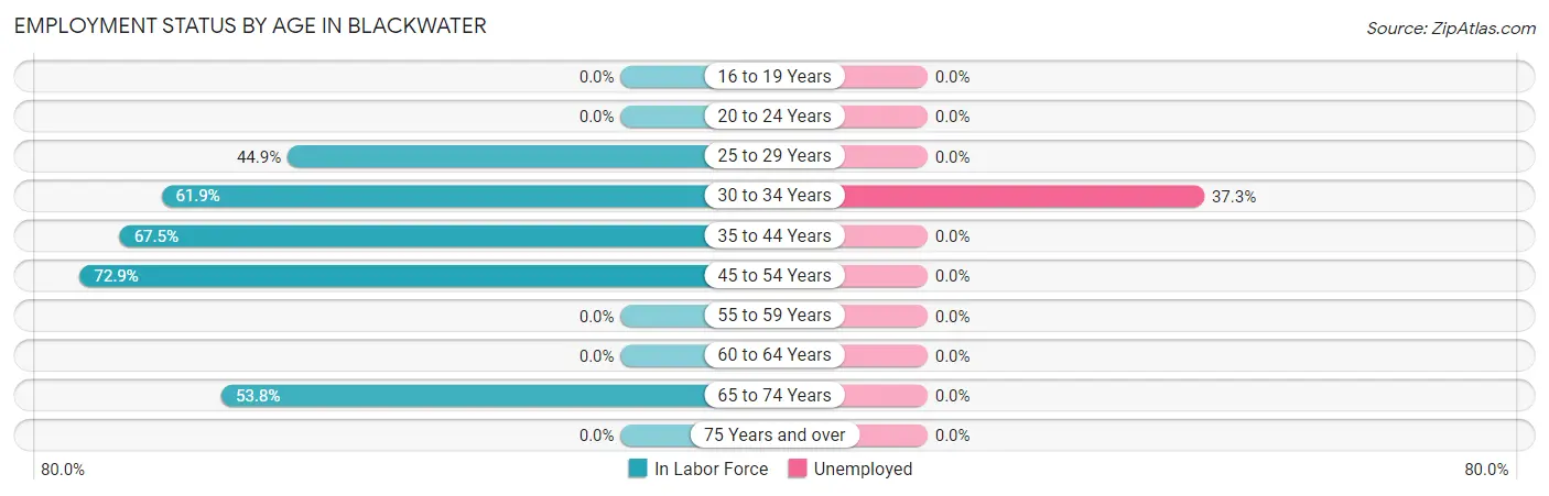 Employment Status by Age in Blackwater