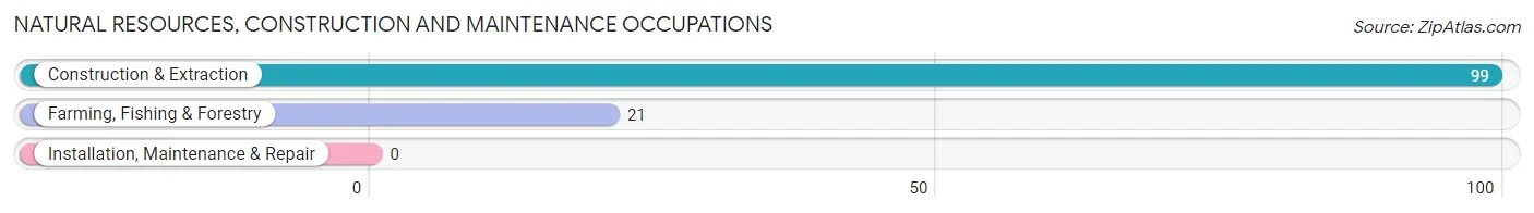 Natural Resources, Construction and Maintenance Occupations in Blackwater