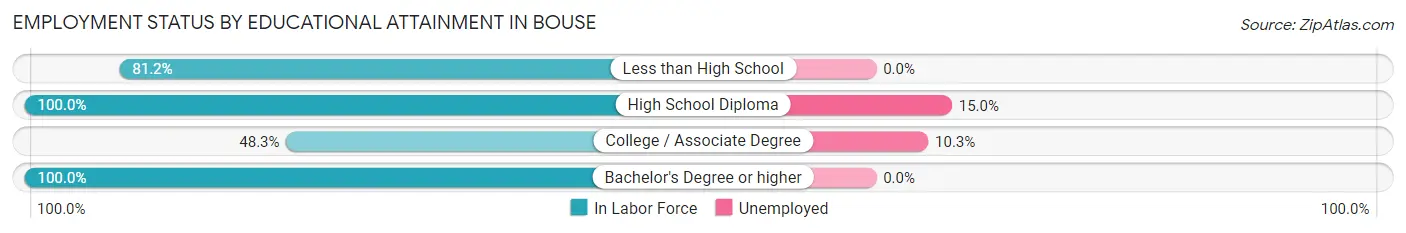 Employment Status by Educational Attainment in Bouse