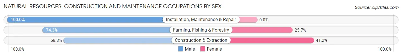 Natural Resources, Construction and Maintenance Occupations by Sex in Bowie