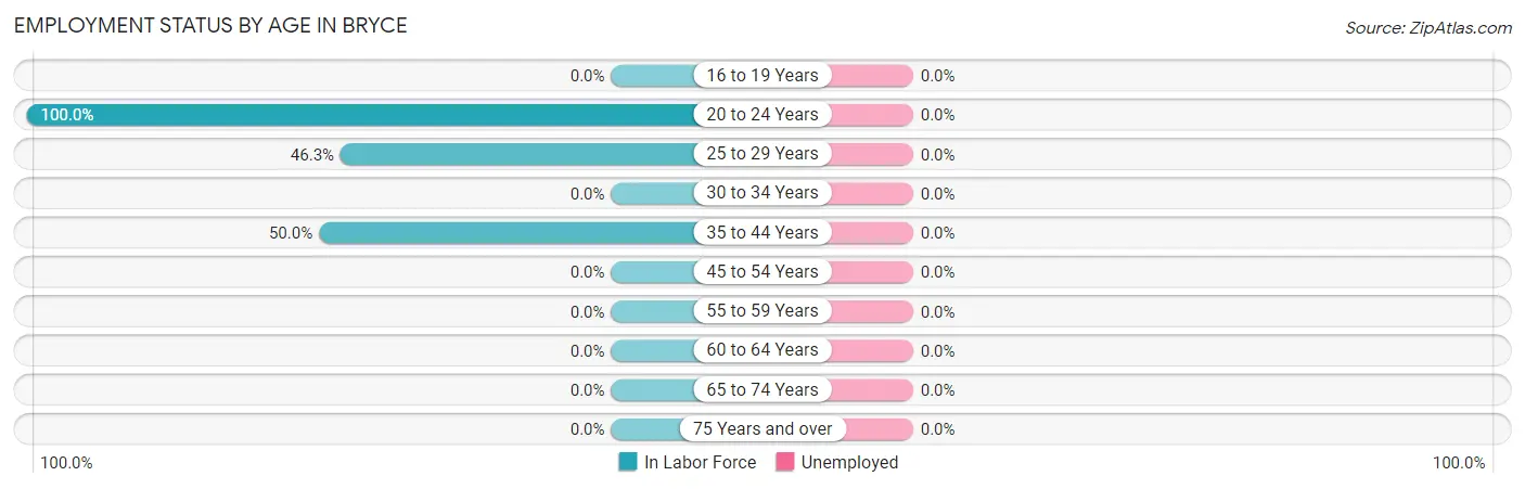 Employment Status by Age in Bryce