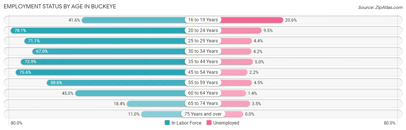 Employment Status by Age in Buckeye