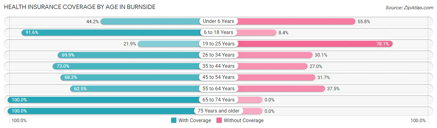 Health Insurance Coverage by Age in Burnside