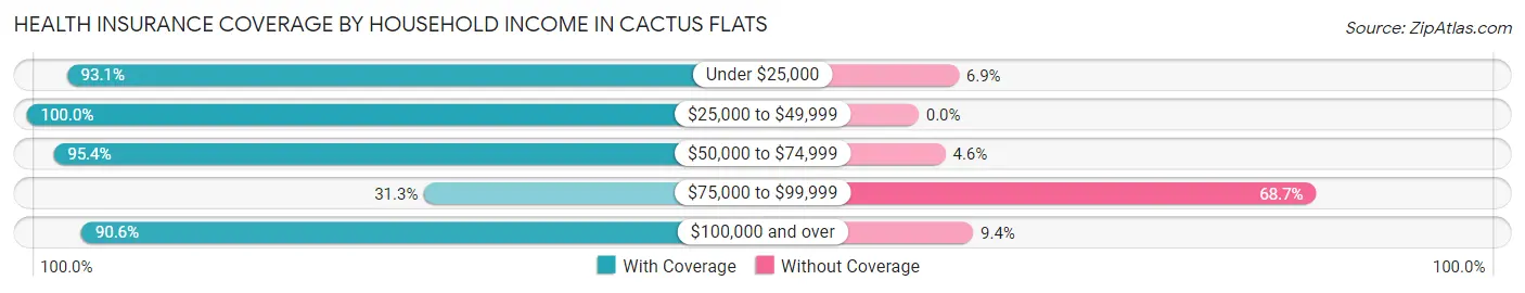 Health Insurance Coverage by Household Income in Cactus Flats