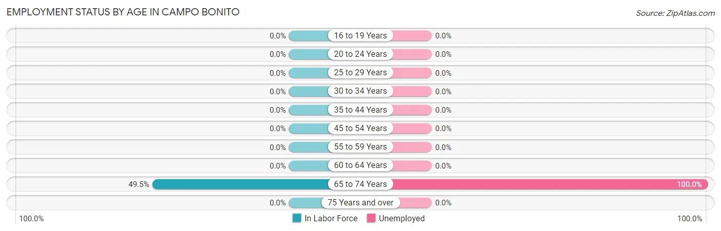 Employment Status by Age in Campo Bonito