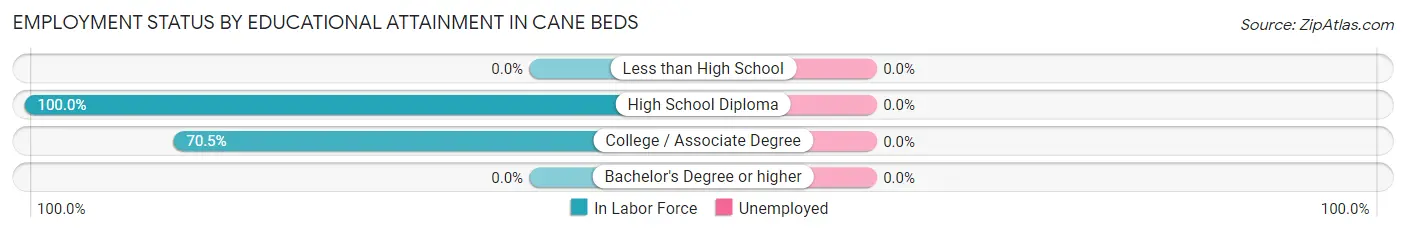 Employment Status by Educational Attainment in Cane Beds