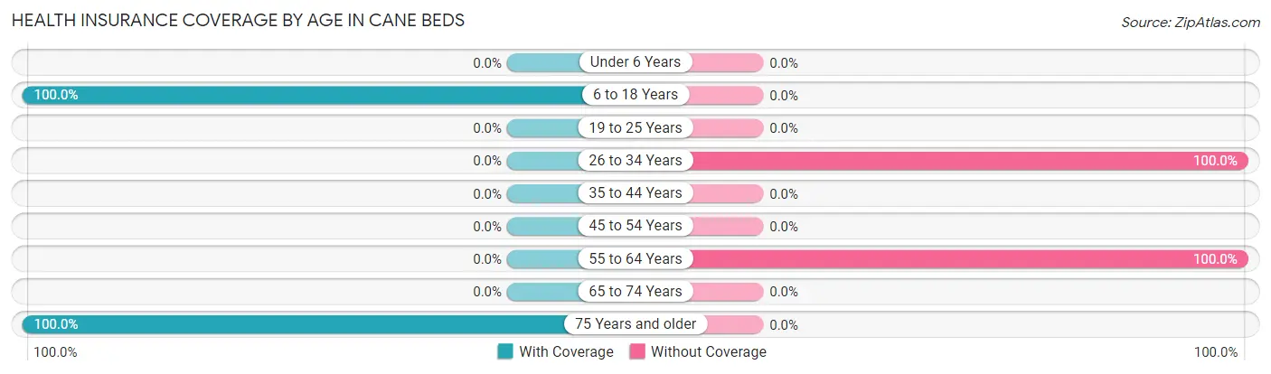 Health Insurance Coverage by Age in Cane Beds