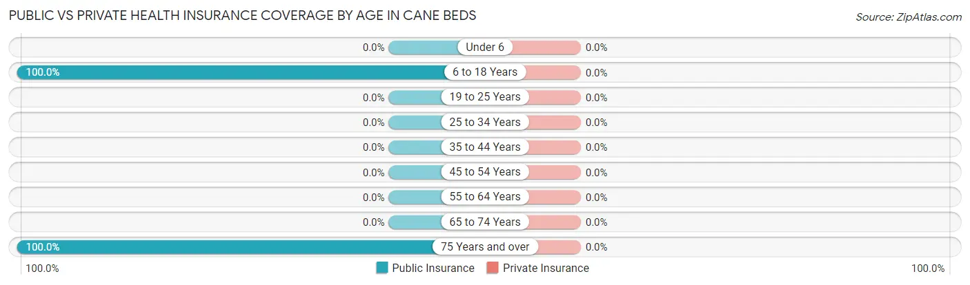 Public vs Private Health Insurance Coverage by Age in Cane Beds