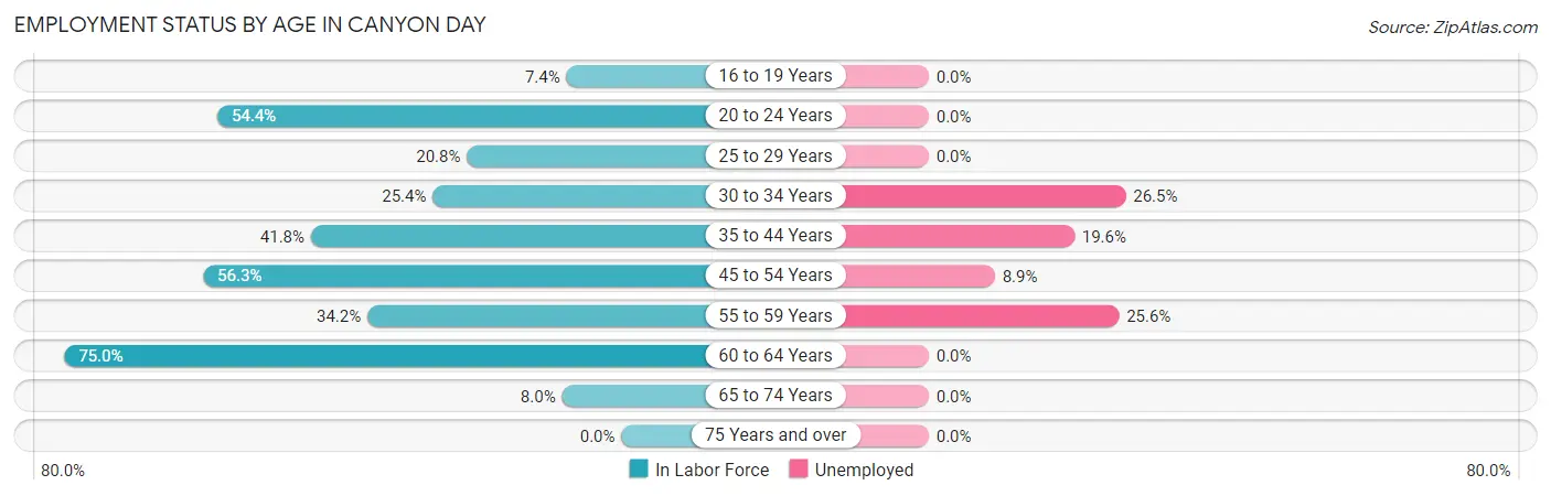 Employment Status by Age in Canyon Day