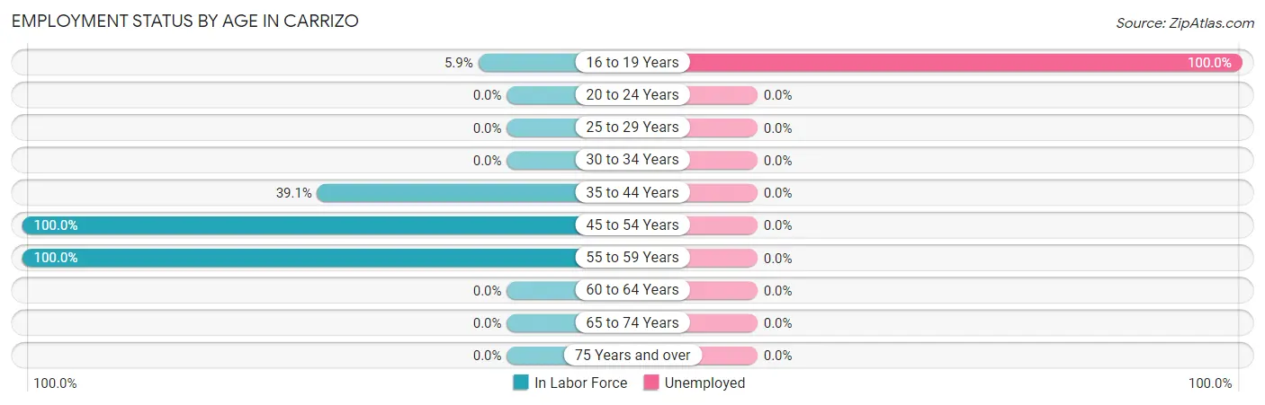 Employment Status by Age in Carrizo
