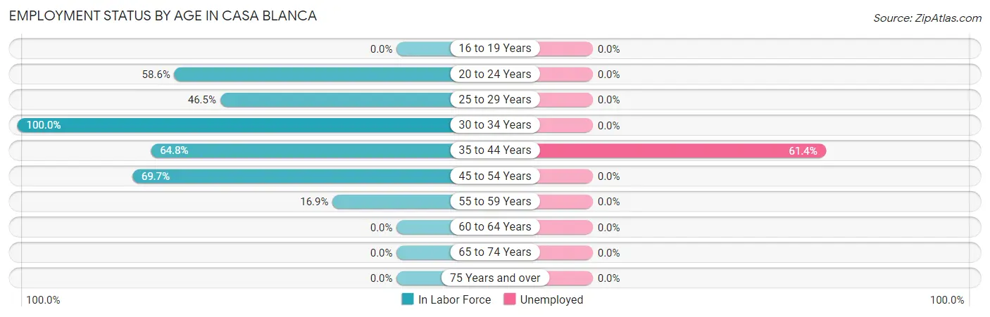 Employment Status by Age in Casa Blanca