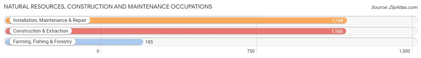 Natural Resources, Construction and Maintenance Occupations in Casas Adobes