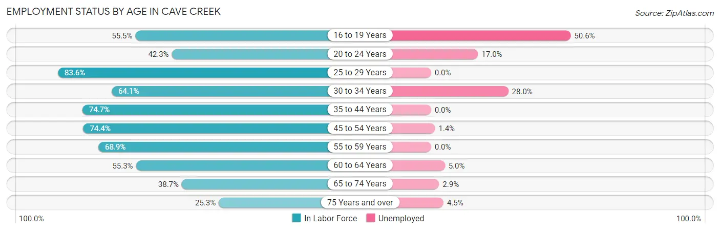 Employment Status by Age in Cave Creek