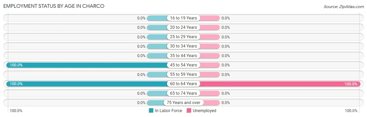 Employment Status by Age in Charco