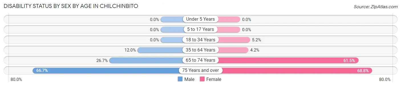 Disability Status by Sex by Age in Chilchinbito
