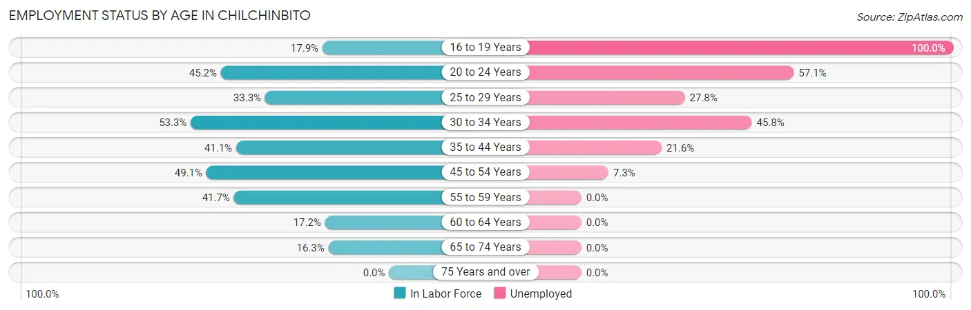 Employment Status by Age in Chilchinbito