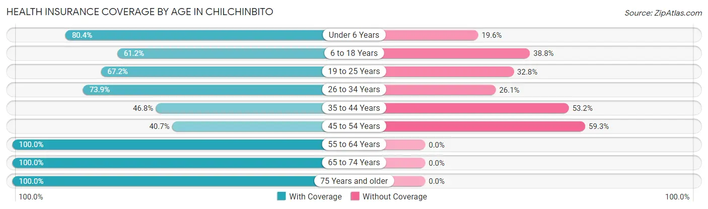 Health Insurance Coverage by Age in Chilchinbito