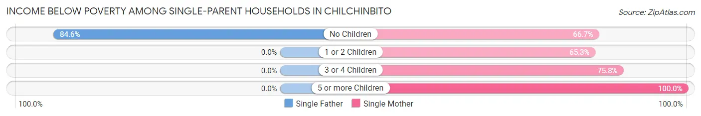 Income Below Poverty Among Single-Parent Households in Chilchinbito