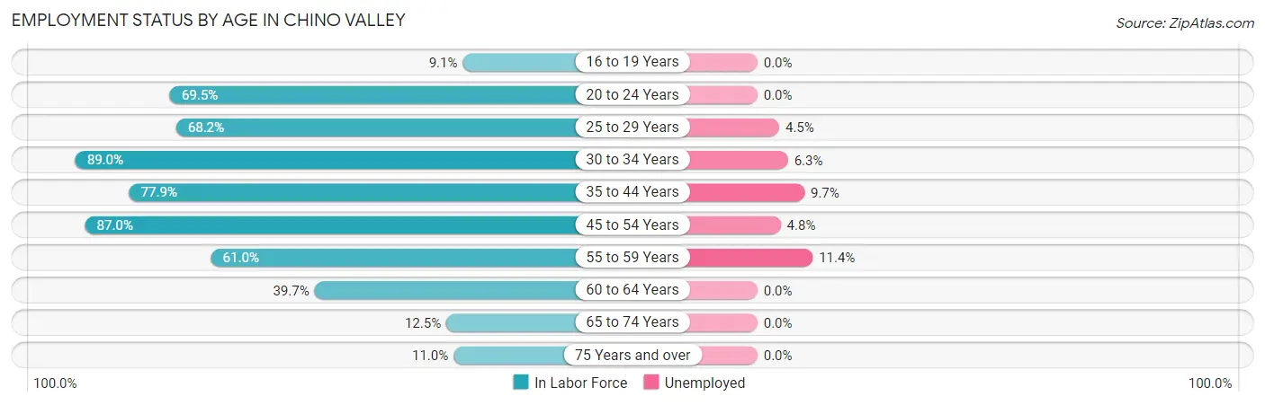 Employment Status by Age in Chino Valley