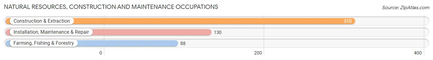 Natural Resources, Construction and Maintenance Occupations in Chino Valley