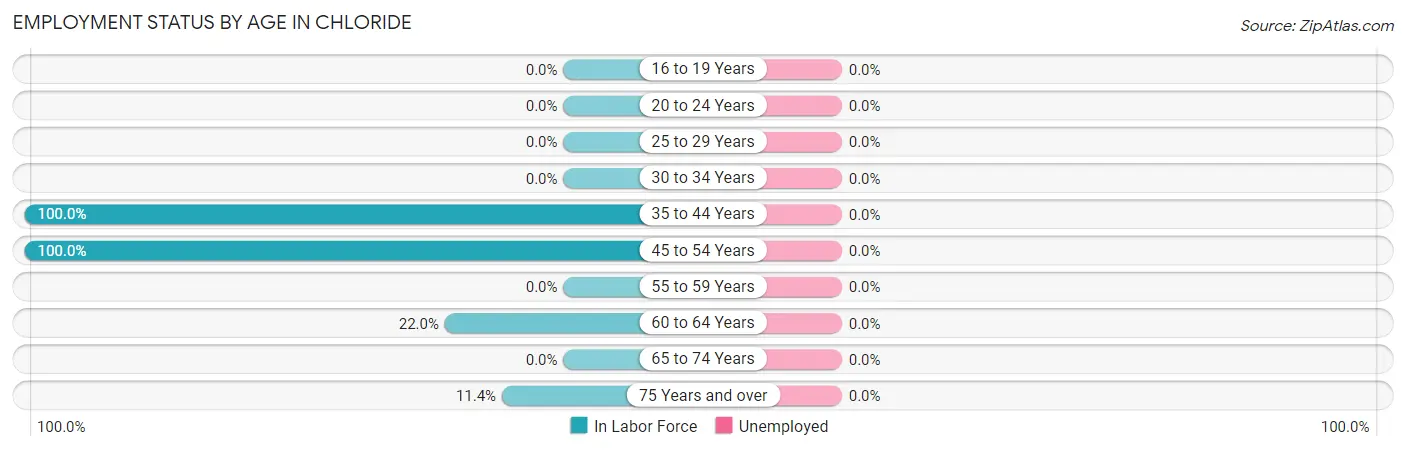 Employment Status by Age in Chloride