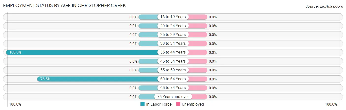 Employment Status by Age in Christopher Creek
