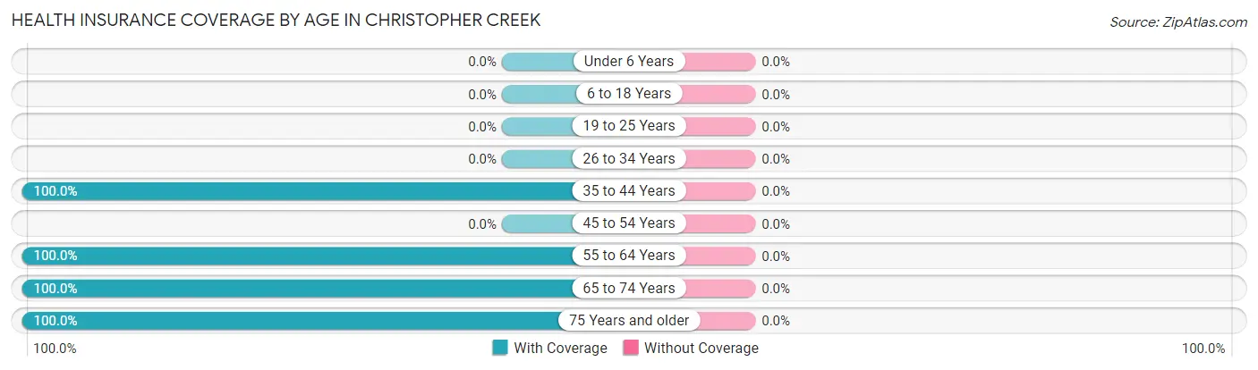 Health Insurance Coverage by Age in Christopher Creek