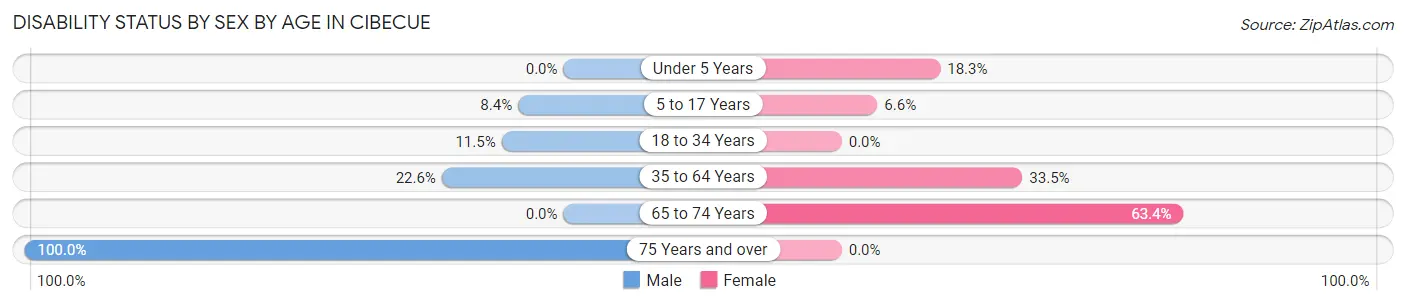 Disability Status by Sex by Age in Cibecue