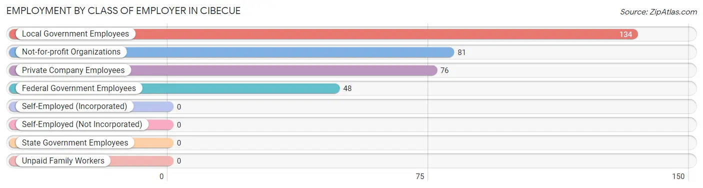 Employment by Class of Employer in Cibecue