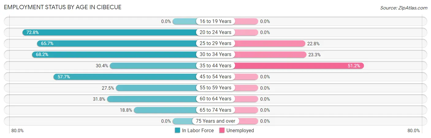 Employment Status by Age in Cibecue
