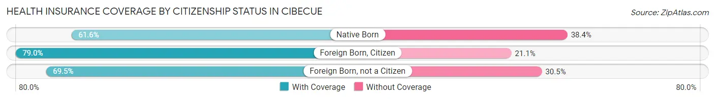 Health Insurance Coverage by Citizenship Status in Cibecue