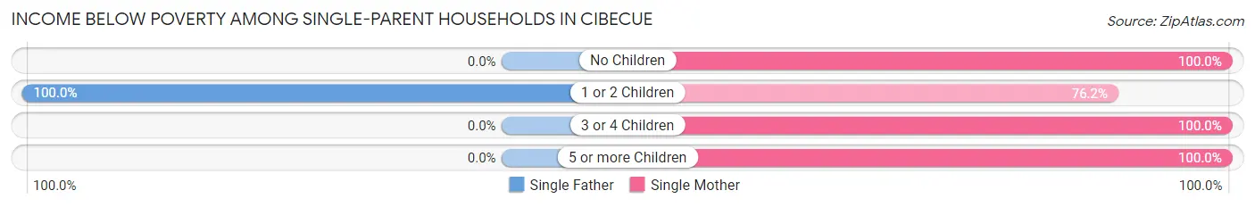 Income Below Poverty Among Single-Parent Households in Cibecue