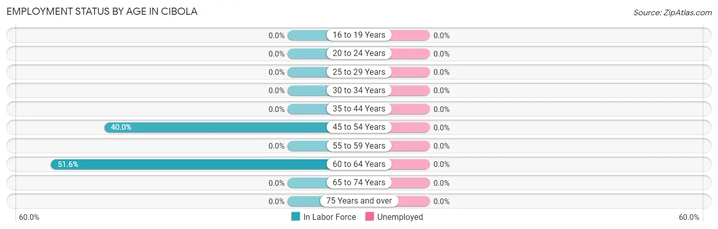 Employment Status by Age in Cibola