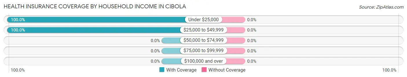 Health Insurance Coverage by Household Income in Cibola