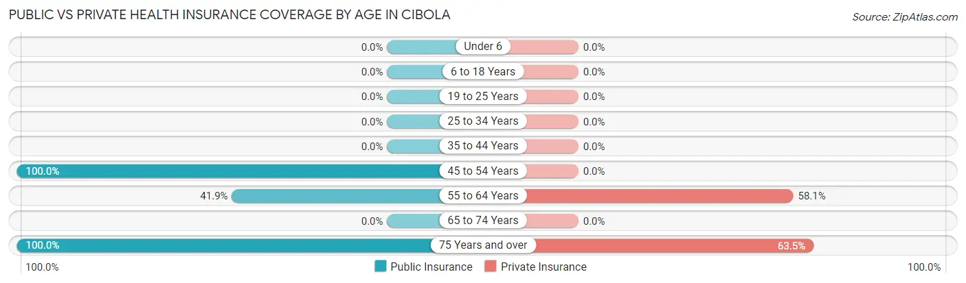 Public vs Private Health Insurance Coverage by Age in Cibola