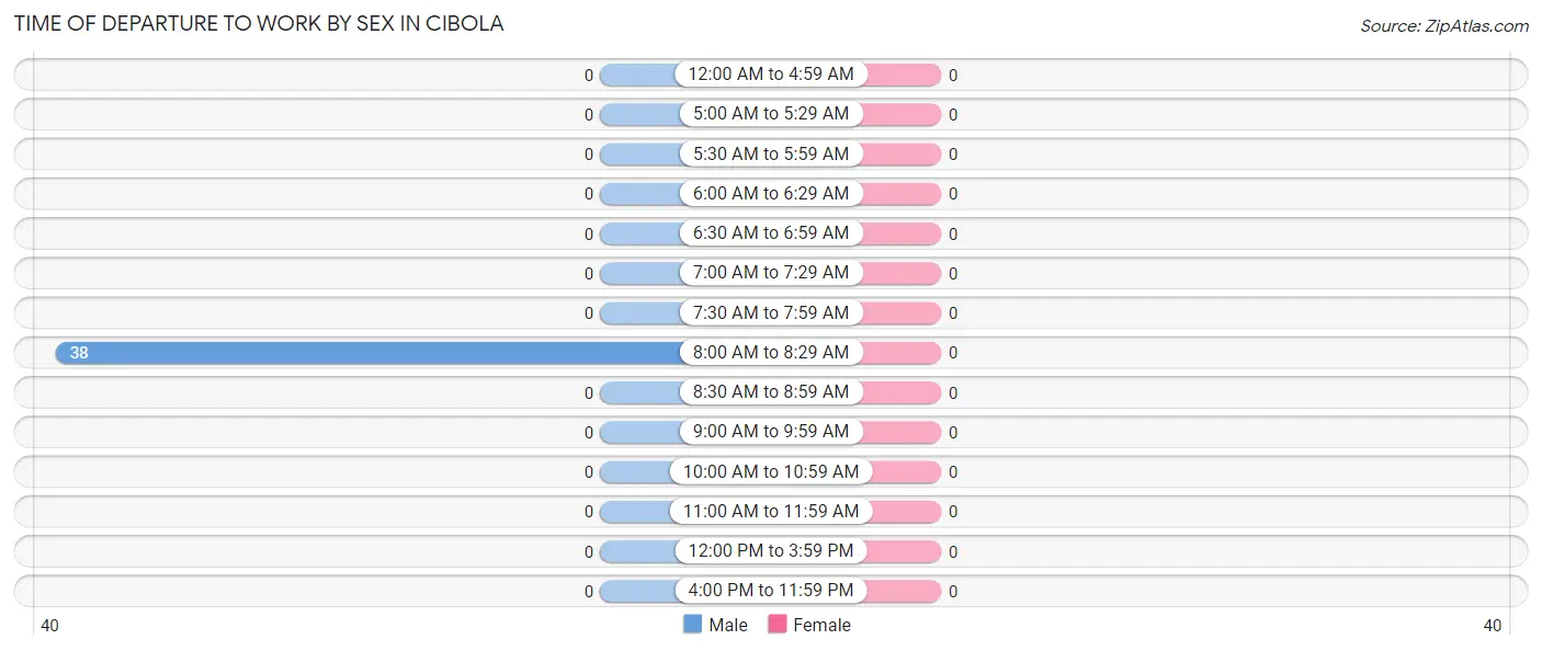 Time of Departure to Work by Sex in Cibola