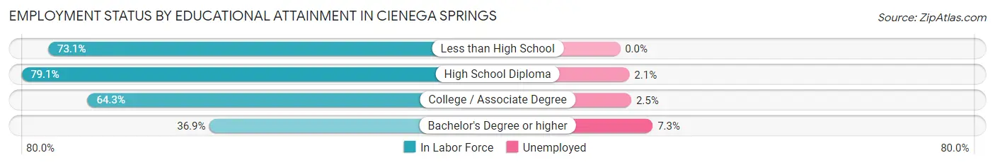 Employment Status by Educational Attainment in Cienega Springs