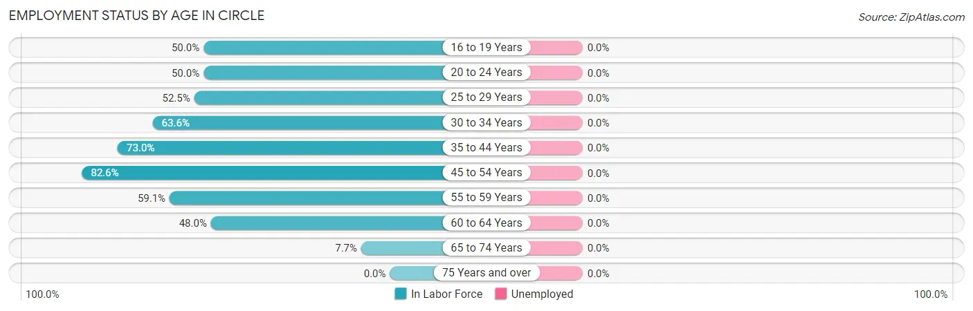 Employment Status by Age in Circle
