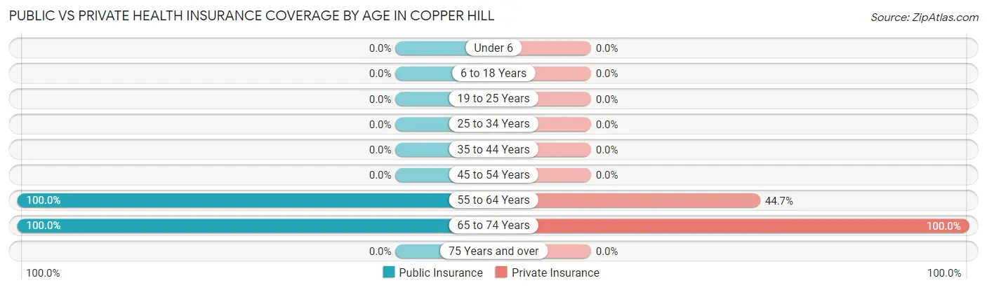 Public vs Private Health Insurance Coverage by Age in Copper Hill