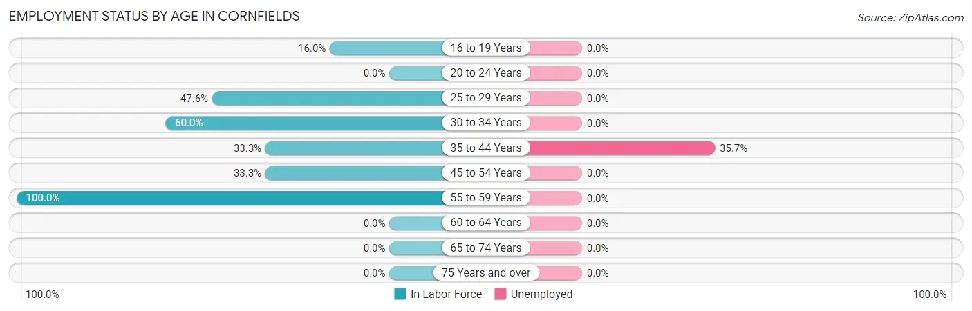 Employment Status by Age in Cornfields