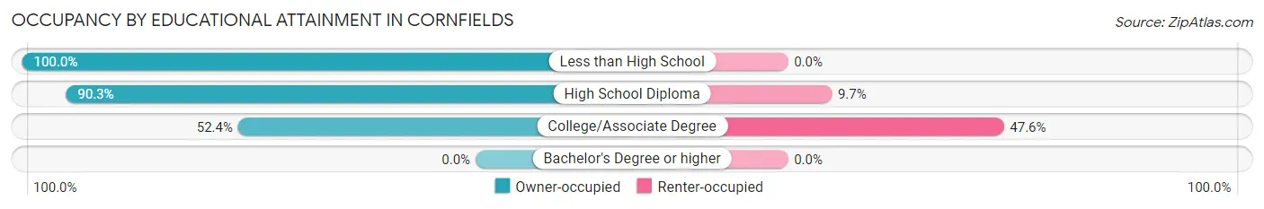 Occupancy by Educational Attainment in Cornfields