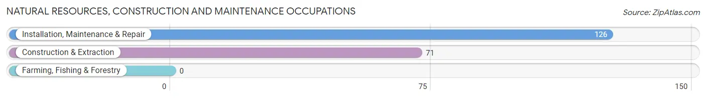 Natural Resources, Construction and Maintenance Occupations in Corona de Tucson