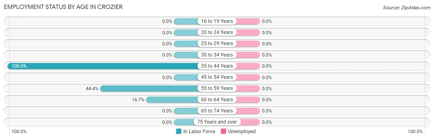 Employment Status by Age in Crozier